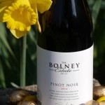 Exclusive vine adoption at the Bolney Wine Estate!