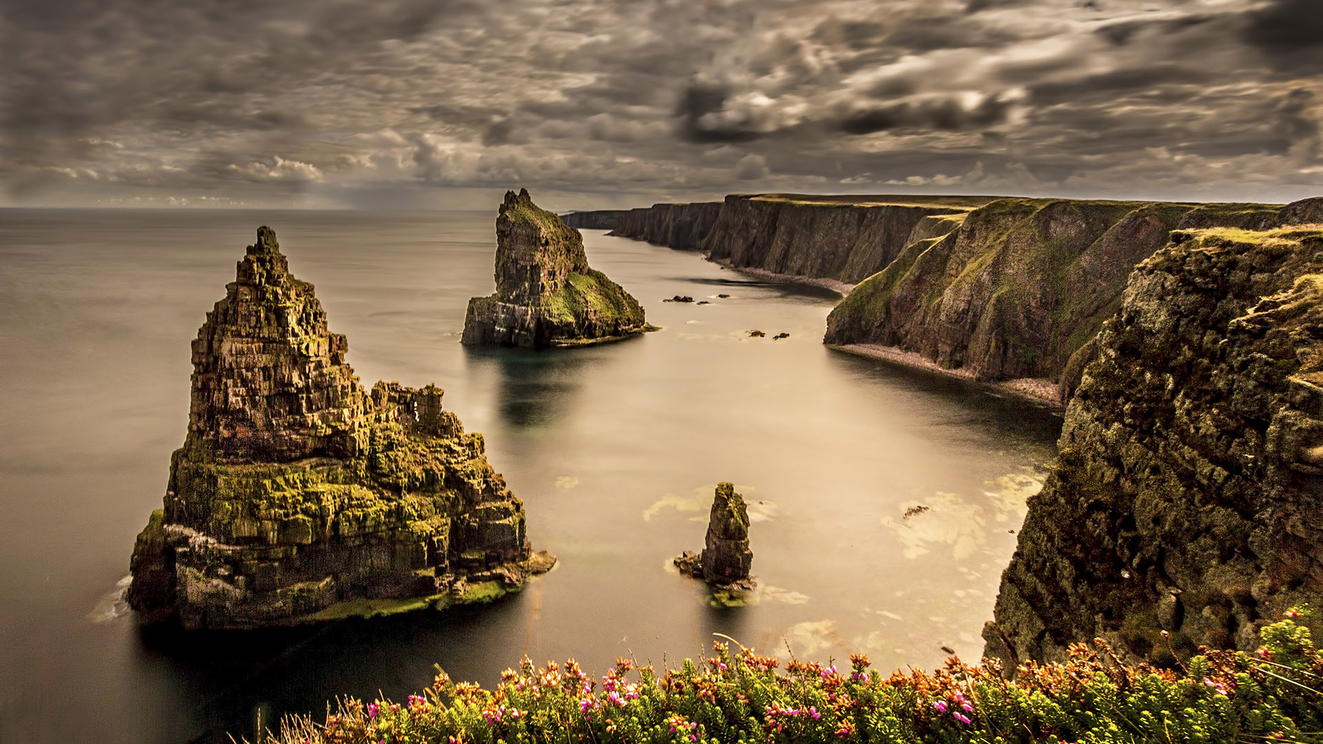 Rock Rose Gin is crafted in the stunning area of Caithness, Scotland