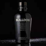 Bulldog