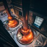 Holyrood Distillery auctioning three collectable casks